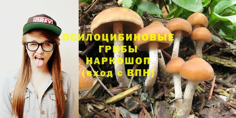 Псилоцибиновые грибы Magic Shrooms  даркнет официальный сайт  Димитровград 